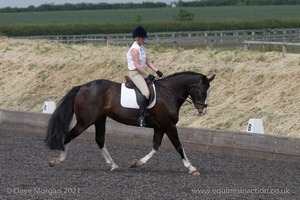 ISIS Dressage Challenge 2008